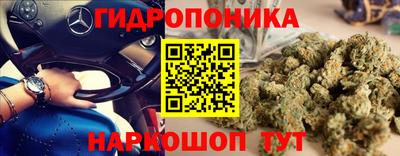 mdpv Кингисепп