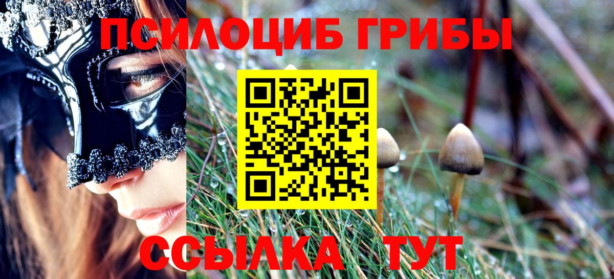Псилоцибиновые грибы мухоморы Комсомольск-на-Амуре