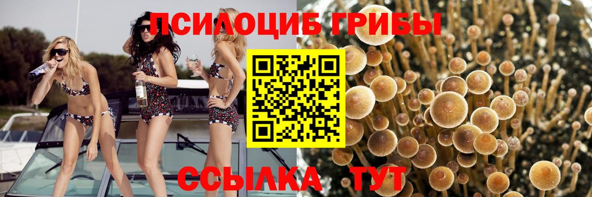 где купить наркоту  Вход с VPN  Комсомольск-на-Амуре  Галлюциногенные грибы Psilocybe  Галлюциногенные грибы Cubensis 